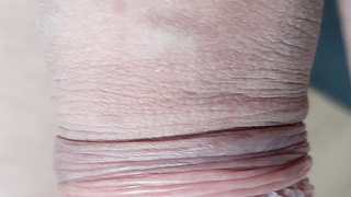 Lully nackte Tatsachen