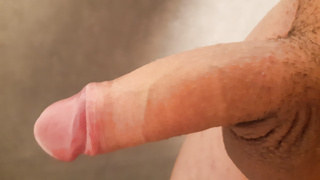 Erste Schwanz Bilder