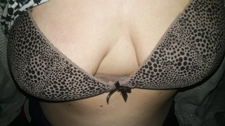 Titten verpackt in Bikini