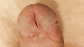 Rasierter harter Schwanz