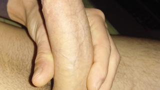 Body und Schwanzbilder