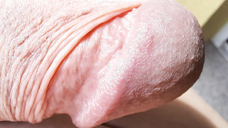 Eichel und Lusttropfen in Nahaufnahmen