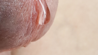 Eichel und Lusttropfen in Nahaufnahmen