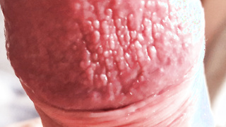 Mund auf Schwanz kommt