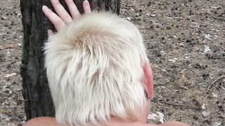 Der Sommer hat begonnen