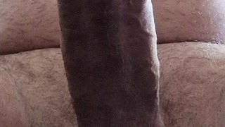 Steifer Schwanz mit Spermastopper