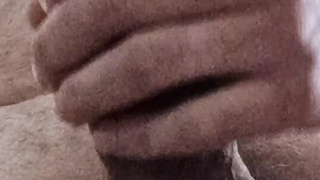 Steifer Schwanz mit Spermastopper