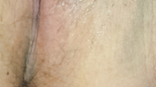 Ich habe schon wider Lust