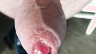 Mein leckerer Schwanz