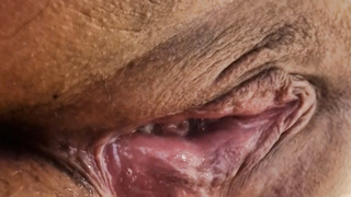 Meine Muschi hat mal wider Geil abgespritzt