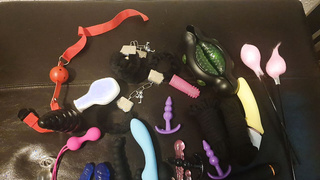 Schwanz und Toy Bilder