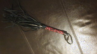 Schwanz und Toy Bilder