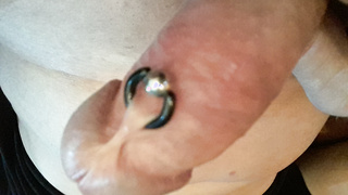 Mein Praller Schwanz