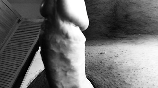 Die Berühmte Morgenlatte