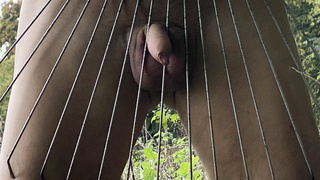 Vorbereitung auf den Winter im Garten