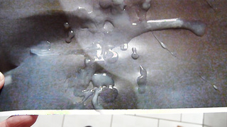 Fotos vom Cum Tribute