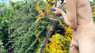 Letzte Arbeit im Garten vor dem Winter