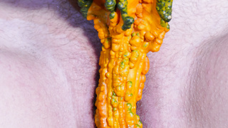 Mit dem Kürbis die Muschi verwöhnt