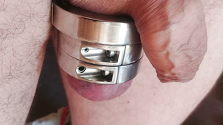 Mein bestes Stück geringt und gefangen