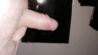 Germanys next FLOP Model