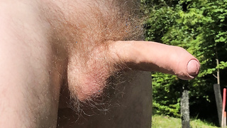 Penis nackt in der Sonne
