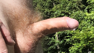 Penis nackt in der Sonne