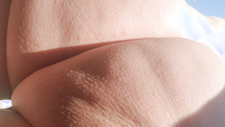 Nackter rasierter Schwanz