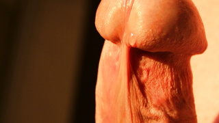 Nackter Penis  in der Abendsonne.