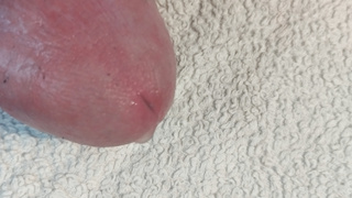 Mein Lümmel ist immer bereit