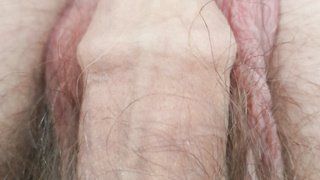 Mein hübscher Schwanz