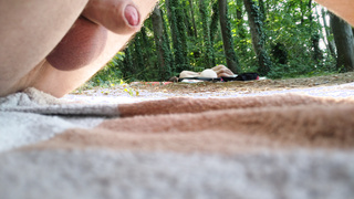 Ein paar Urlaubsbilder aus dem Süden