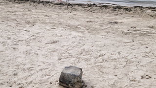 Niki devot für euch