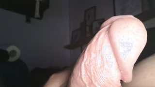 Schwanz Bilder von mir