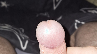 Eichel mit Lusttropfen