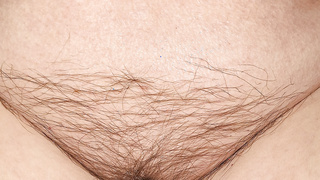 Hängebusen und Möse