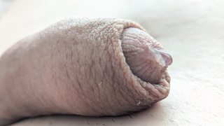 Wer will ihn verwöhnen?