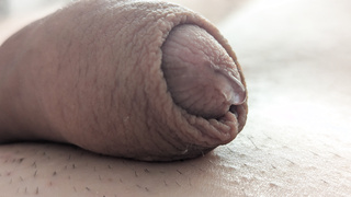 Wer will ihn verwöhnen?