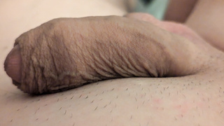 Wer will ihn verwöhnen?