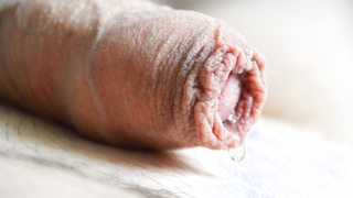 …mein kleiner Liebling