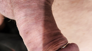 Mein Schwanz verwöhne ich