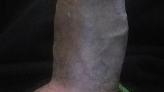 Hier könnt ihr mein Schwanz sehen