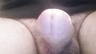 Hier könnt ihr mein Schwanz sehen