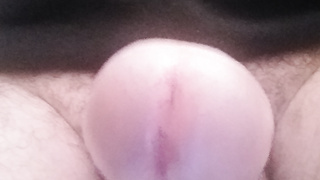 Hier könnt ihr mein Schwanz sehen