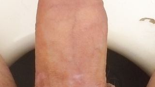 Hier könnt ihr mein Schwanz sehen