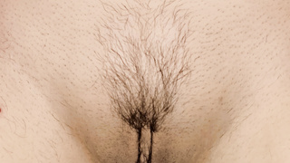 Frisierte Muschi zum besamen