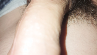 Behaarter Sack mit feuchten Penis