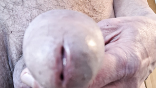 Im Homeoffice geil geworden