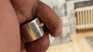 Penis mit Ballstretcher