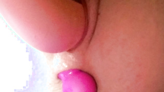 Muschi Bilder Album meiner Frau