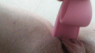 Muschi Bilder Album meiner Frau